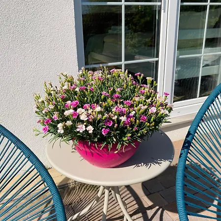 Wysokie Trawy Nawrotowka Rewa