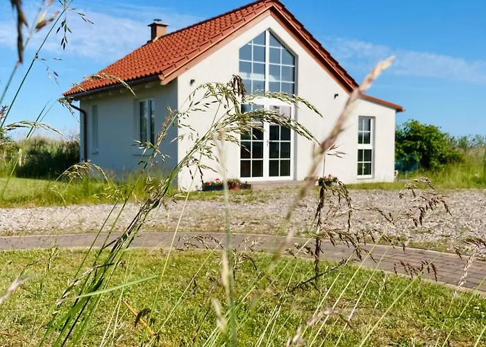 Wysokie Trawy Nawrotowka Rewa