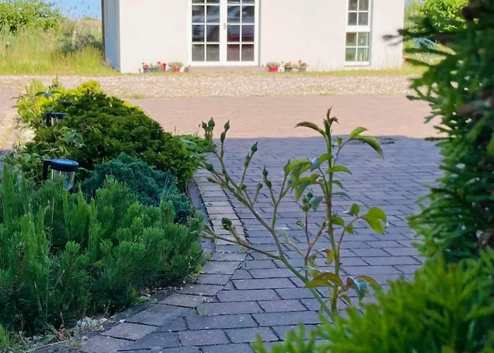 Wysokie Trawy Nawrotowka *