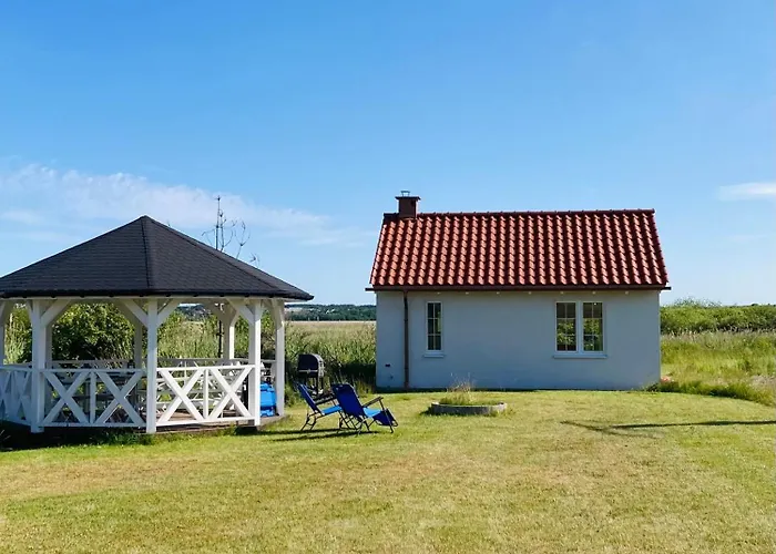 Wysokie Trawy Nawrotowka Rewa