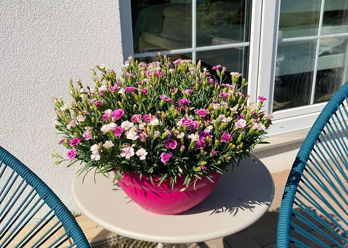 Wysokie Trawy Nawrotowka Rewa