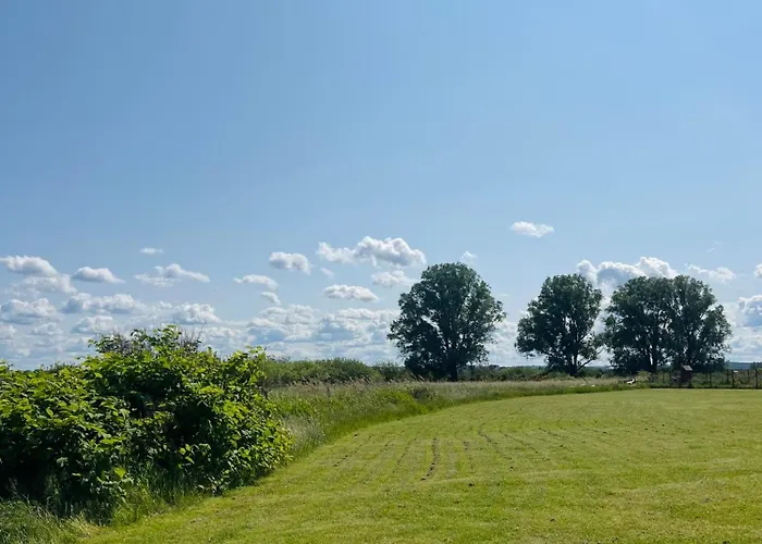 Wysokie Trawy Nawrotowka